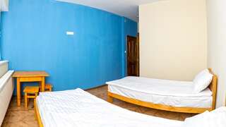 Хостелы Dream Hostel Carpathians Rakhiv Рахов Двухместный номер с 1 кроватью или 2 отдельными кроватями и собственной ванной комнатой-4